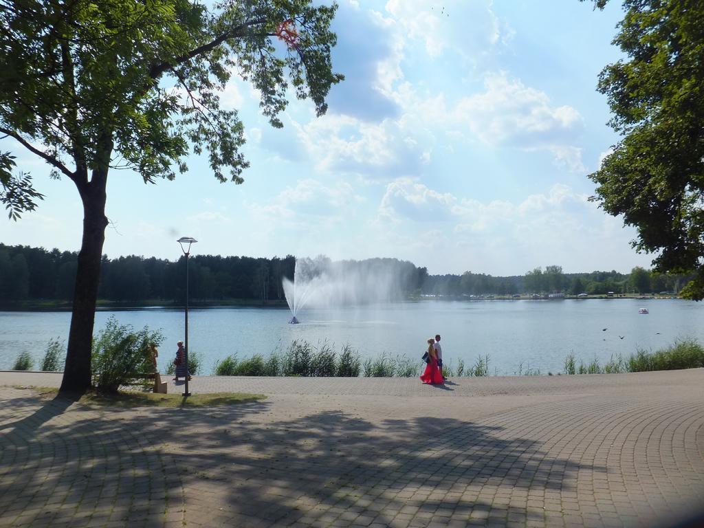 Chalet Villa Rex Druskininkai Exterior photo